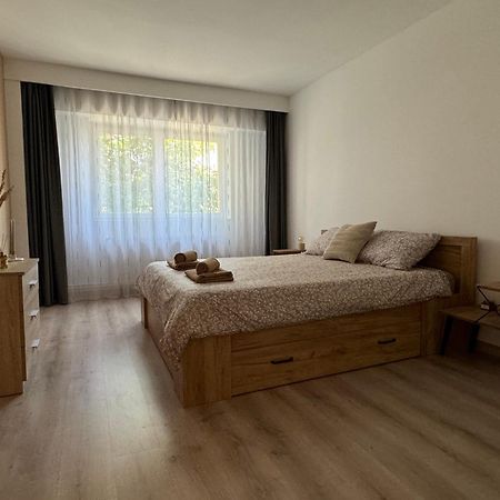 Lareina Apartament Cluj-Napoca Eksteriør bilde